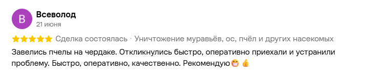 Скриншот отзыва клиента №1