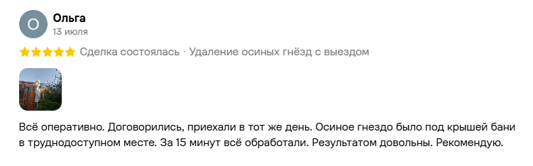 Скриншот отзыва клиента №2