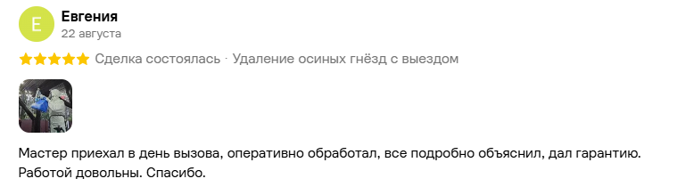Скриншот отзыва клиента №5